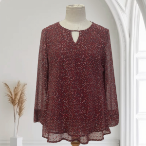 Blusa transparencias